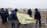 Lực lượng chức năng làm việc tại hiện trường vụ rơi máy bay. (Nguồn: THX/TTXVN)