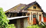 Đà Lạt: Hàng loạt biệt thự hoang phế 