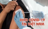 Thông tin mới nhất về diễn biến dịch COVID-19 tại Việt Nam 
