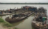Bắt 2 tàu cát tặc không số trên sông Hồng