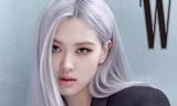 Rosé