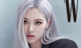 Rosé