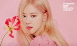 Rosé