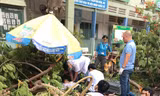 Cây trong sân trường bất ngờ bật gốc, học sinh tử vong, nhiều cháu nhập viện