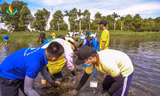 Hội Sinh viên ĐH Mở TP. HCM: Tập huấn chiến dịch “Mùa Hè Xanh" 2020
