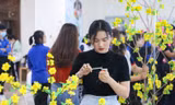 Sinh viên trổ tài trang trí mai, đào ngày Tết