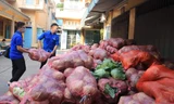 Bạn trẻ TP. HCM "giải cứu" nông sản cho nông dân Hải Dương
