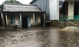 TT-Huế: Mưa dồn dập làm nhiều nơi ngập sâu, trường học đóng cửa tránh lũ