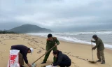 Thu gom 40 tấn dầu vón cục tràn bờ tại vịnh Lăng Cô và vùng lân cận
