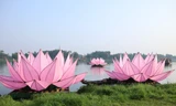 Hạ 7 đóa hoa sen nặng 2,1 tấn xuống sông Hương mừng Đại lễ Phật đản