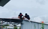 Chủ động giằng chống, gia cố mái lợp mái lợp trường học tại huyện Phú Vang, TT-Huế