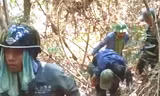 Cháy rừng, bỏng nặng khi đốt ong lấy mật