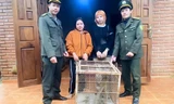 Người dân Huế giao nộp cá thể khỉ vàng quý hiếm cho kiểm lâm