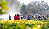 Đường hoa ven sông Hương vẫn tấp nập khách du Xuân 