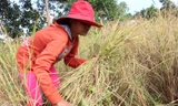 TT-Huế rà soát hộ nghèo, hộ cận nghèo phục vụ công tác giảm nghèo bền vững