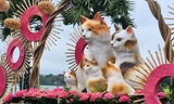 Chiêm ngưỡng hình tượng mèo và muôn màu sắc Xuân từ làng đến phố xứ Huế