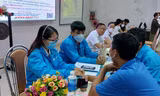 Sôi nổi sàn giao dịch việc làm cho thanh niên Quảng Trị