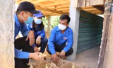 Tuổi trẻ Quảng Trị sôi nổi chiến dịch Hành quân xanh và Kỳ nghỉ hồng