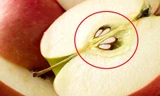 Ăn hạt táo độc khủng khiếp thế này mà nhiều người không biết