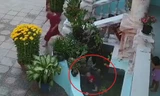 Bé trai thoát chết khi ngã vào bể nước
