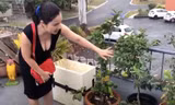 Không gian nhà của MC Cát Tường ở Australia