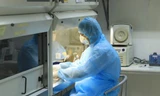 Việt Nam phân lập chủng virus corona mới thành công sau 72 giờ