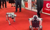 Robot chó của Việt Nam 'khuấy động' Hội chợ Thương mại Quốc tế 