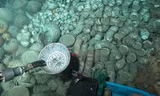 Tìm thấy kho báu thời nhà Minh trong hai 'tàu ma'