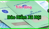 Lần đầu tiên khởi tố doanh nghiệp ở Phú Yên trốn đóng bảo hiểm xã hội