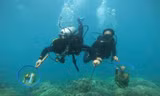Bảo vệ hệ rạn san hô biển Nha Trang cần thực hiện liên tục, dài hạn