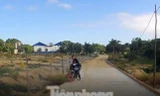 Chủ trang trại kéo hội mang hung khí đánh trọng thương người dân trên núi Hòn Rồng