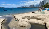 Yêu cầu Chủ tịch Nha Trang chịu trách nhiệm nếu để xả thải trái phép