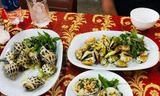 Nha Trang xử phạt nhà hàng bị tố 'chặt chém' bán ốc hương giá 1,8 triệu đồng/kg 