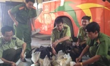 Số tê tê, lòng lợn cơ quan chức năng thu giữ. Ảnh: MĐ