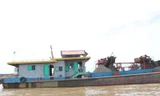 Cát tặc lộng hành trên sông Hồng. Ảnh: MINH ĐỨC