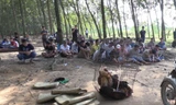 Đánh bạc trong vườn cao su, hàng chục 'con bạc' bị bắt giữ