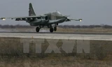 Máy bay Su-25 của không quân Nga. (Nguồn: AFP/TTXVN)