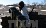 Quân ly khai tại mặt trận Debaltsevo ngày 17/2. (Ảnh: AFP/TTXVN)