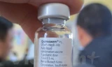 Vắcxin Quinvaxem. (Nguồn: Vietnam+)