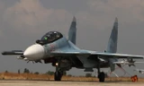 Máy bay chiến đấu Su-30 của Nga. (Nguồn: RIA Novosti)