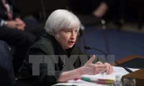 Chủ tịch Fed Janet Yellen trong phiên điều trần tại Ủy ban Kinh tế chung ở thủ đô Washington, DC ngày 3/12. (Nguồn: AFP/TTXVN)