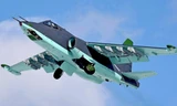 Cường kích Su-25 của không quân Nga. Ảnh: Unian