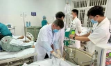 Liên tiếp ngộ độc sau khi ăn cá chép ủ chua: Cảnh báo nóng của ngành y tế