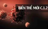 THẾ GIỚI 24H: Cảnh báo biến thể COVID-19 đột biến nhiều nhất, có thể kháng vắc xin
