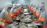 Mặt hàng thủy sản nào của Việt Nam đang bị tác động lớn nhất? 