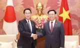 Chủ tịch Quốc hội Vương Đình Huệ tiếp Thủ tướng Nhật Bản Kishida Fumio