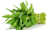Những đại kỵ nguy hiểm khi ăn rau muống cần bỏ ngay kẻo 'đầu độc' cơ thể