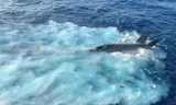 Khoảnh khắc 'thần sấm' F-35C gặp nạn ở Biển Đông