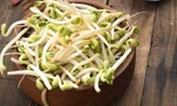 Giá đỗ rất bổ dưỡng nhưng cần lưu ý những điều sau để tránh nguy cơ trúng độc, thậm chí mắc ung thư