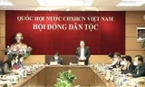 Đồng chí Trần Thanh Mẫn phát biểu ý kiến tại buổi làm việc.